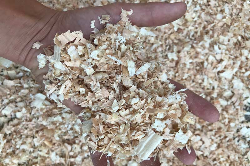 CF6_KWC Coastal Flake Pallet, Pet Bedding | Wood Shavings | Klassen Wood Co