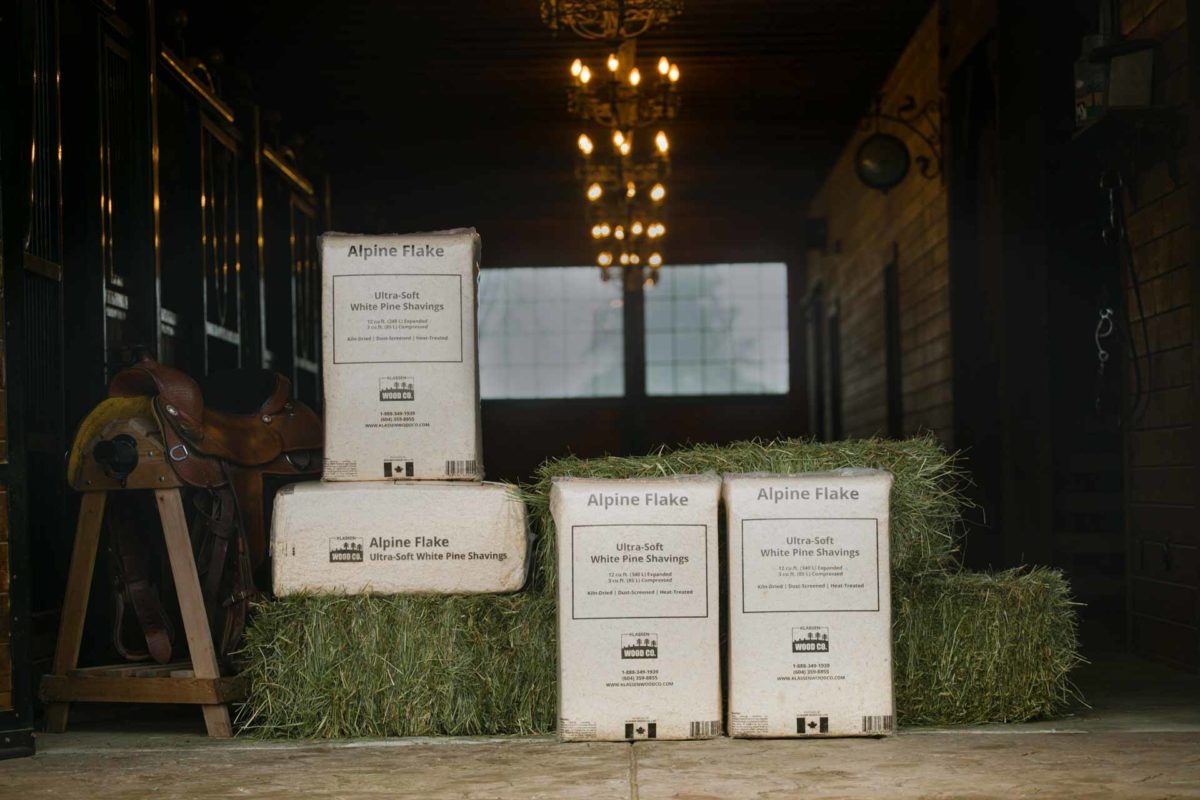 Premium Pine Shavings for Sales Sawdust Horse Bedding Klassen Wood Co.