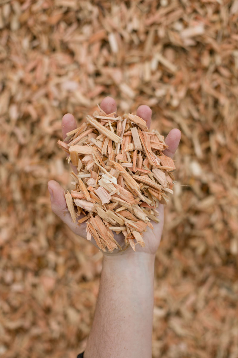 White Wood Chips | Wood Shavings | Klassen Wood Co.