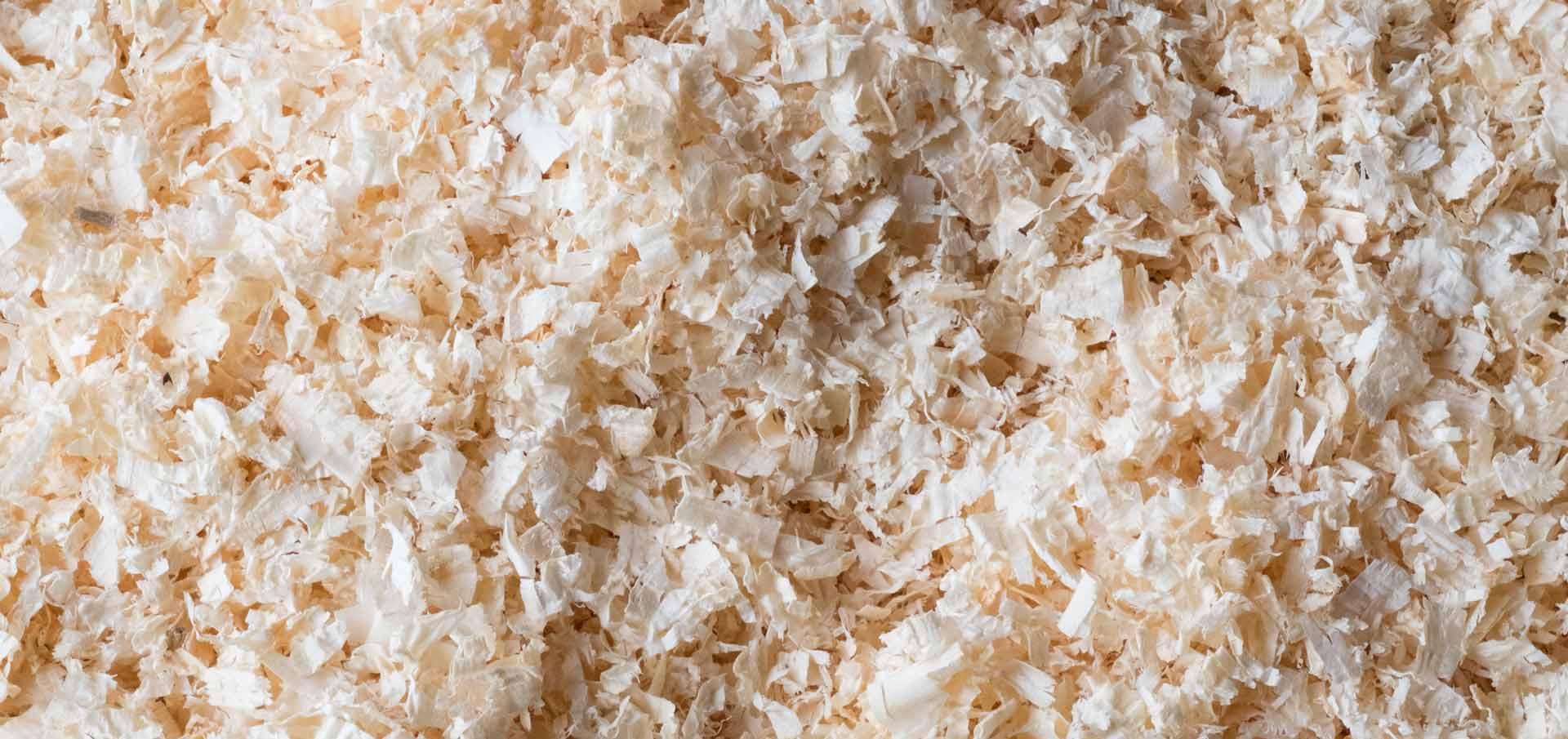 Natural Wood Shavings | Klassen Wood Co.