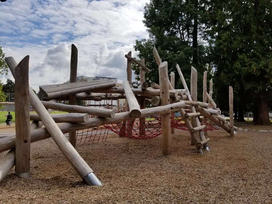 Cedar Engineered Wood Fiber Chips For Playground