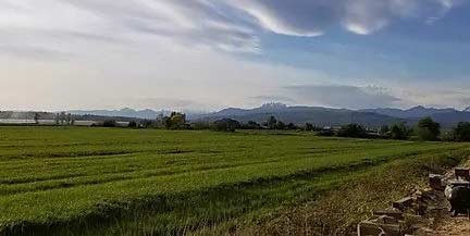 Fraser Valley Farm | Klassen Wood Co.