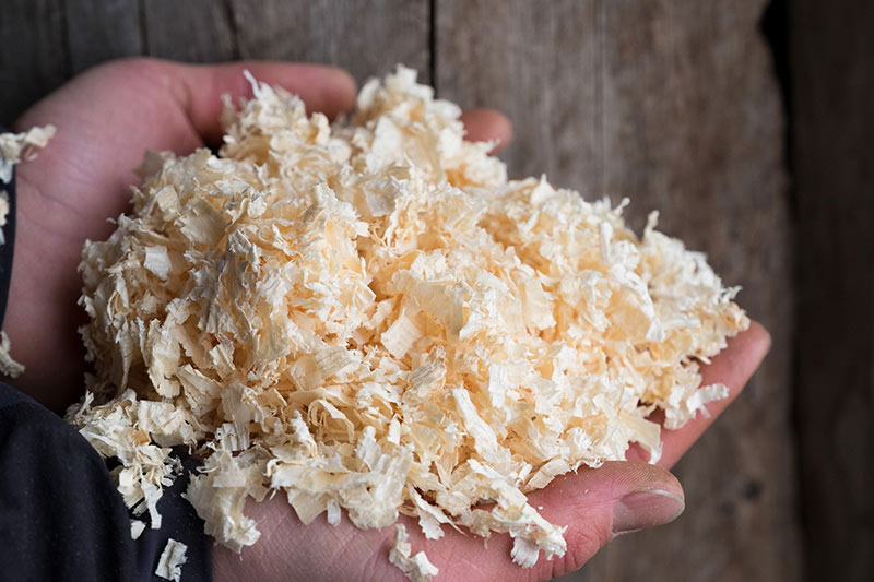 Wood Shavings | Cedar Shavings | Klassen Wood Co.