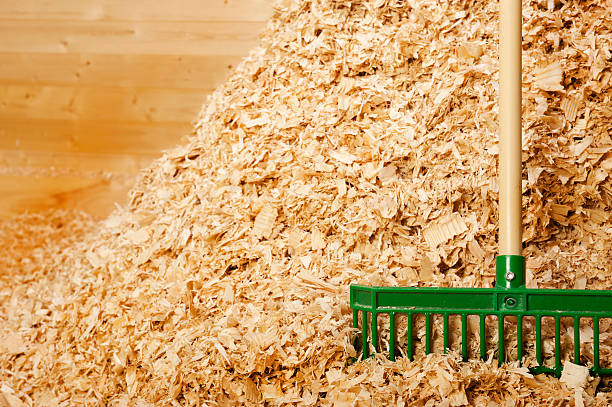 wood shavings for horses