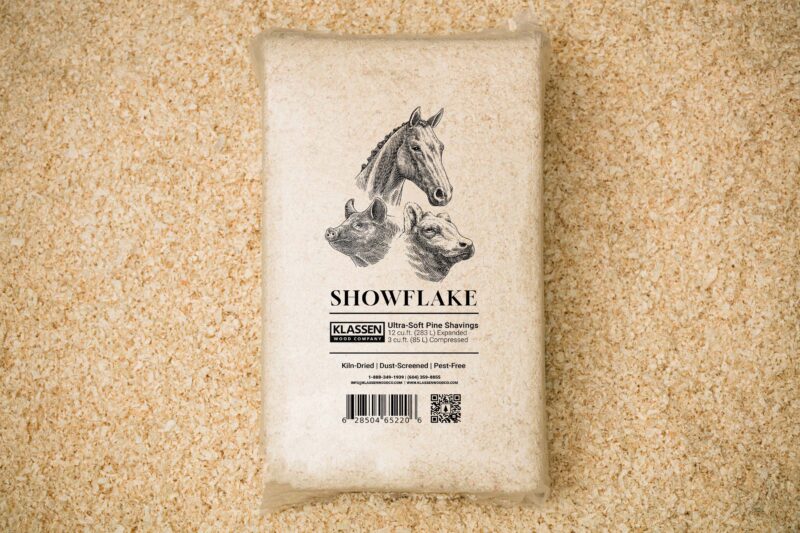 Premium Pine Shavings for Sales Sawdust Horse Bedding Klassen Wood Co.