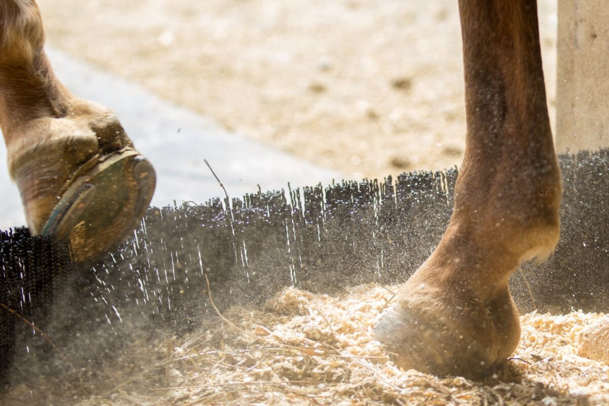 Bedding Blocker (Soft Surface Kit) Klassen Wood Company